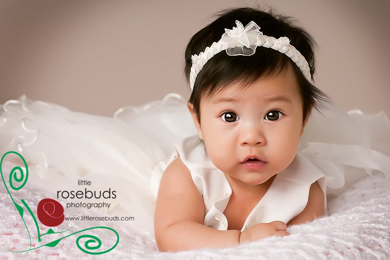 Little Rosebuds Photography 