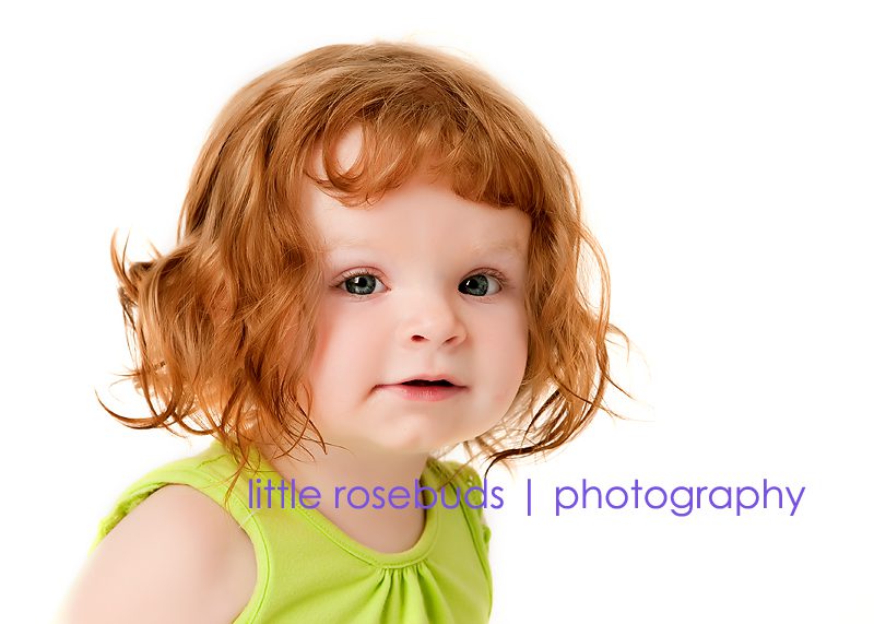 Little Rosebuds Photography
