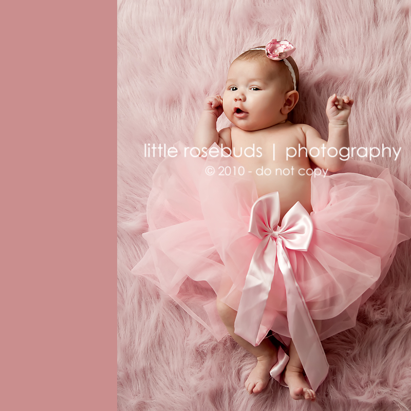 hamilton Baby Photographer