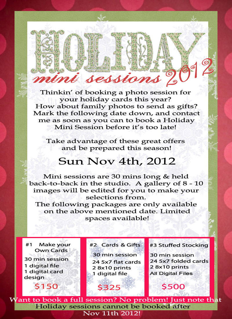 Holiday mini session 2012