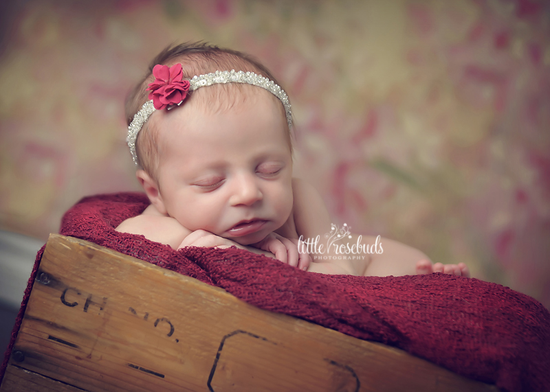 Newborn photography oakville