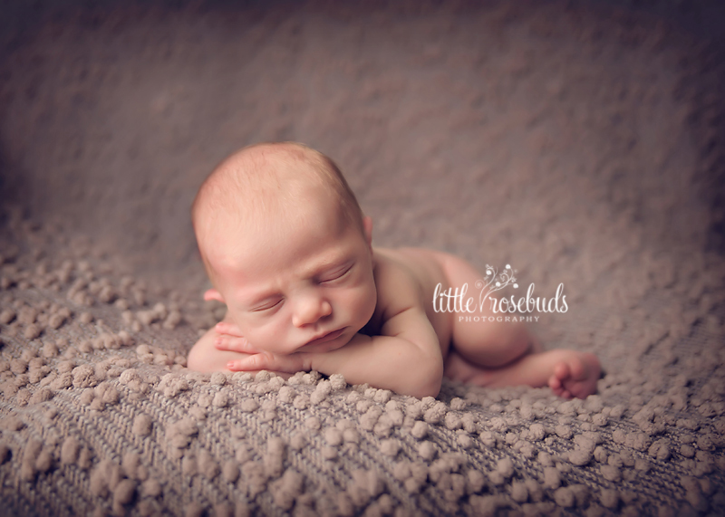 newborn photographer oakville