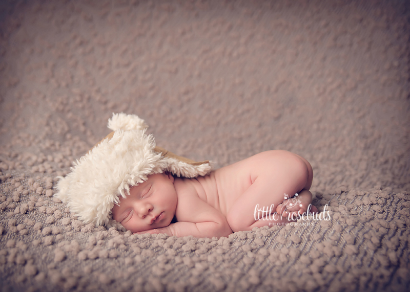 best newborn photographer hamilton