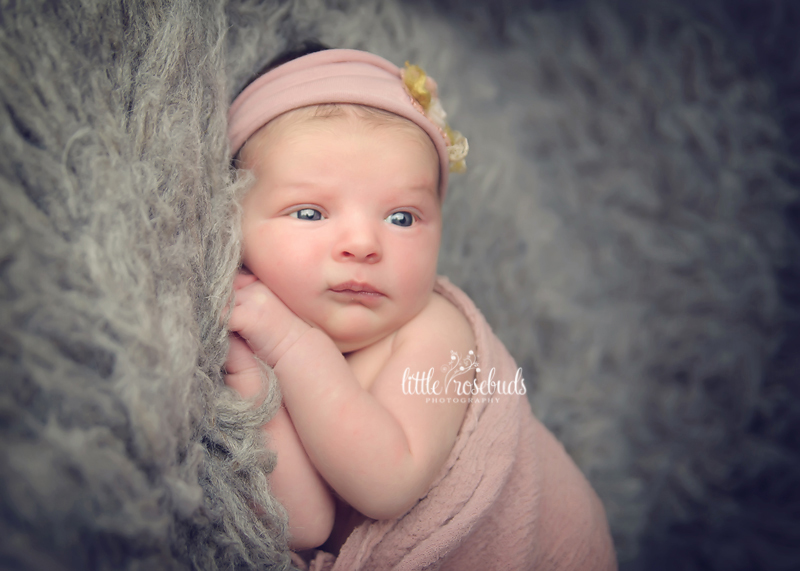 newborn photography burlington