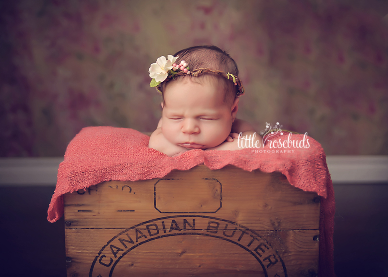 newborn photography oakville