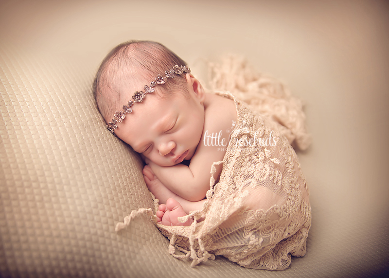 newborn photography in ancaster