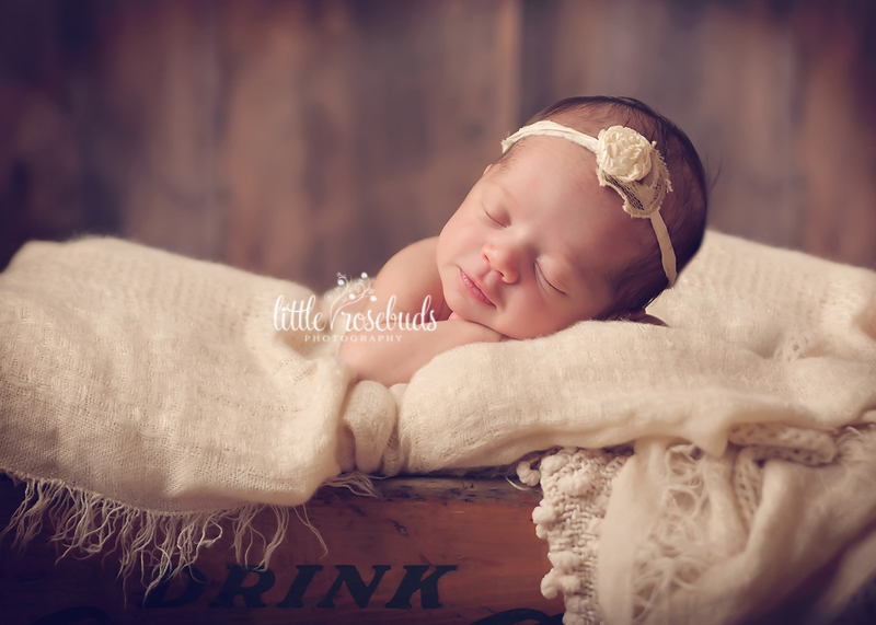 oakville newborn photographer