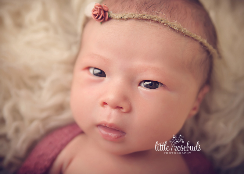 professional newborn photography ancaster
