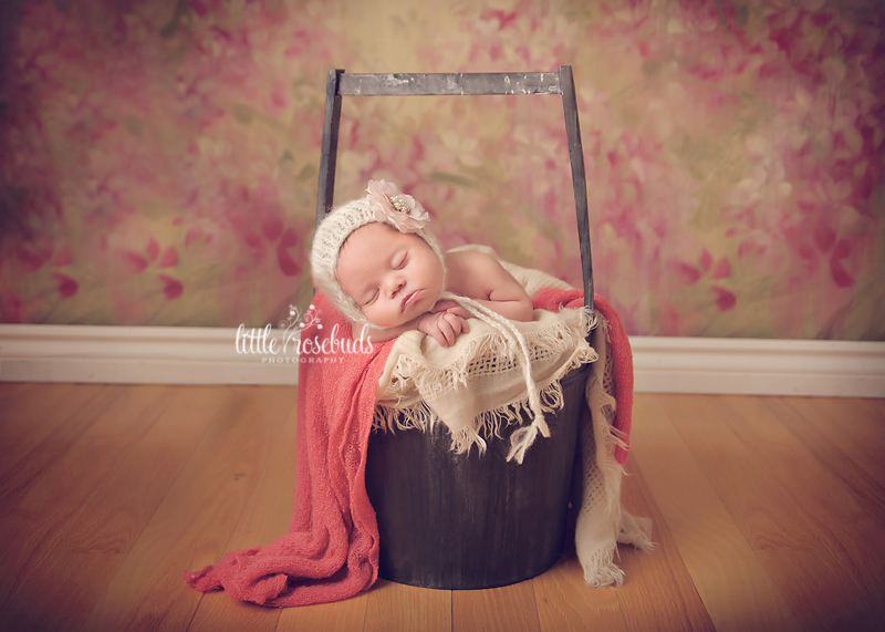 ancaster newborn photography session