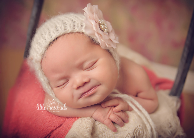 brantford newborn photography