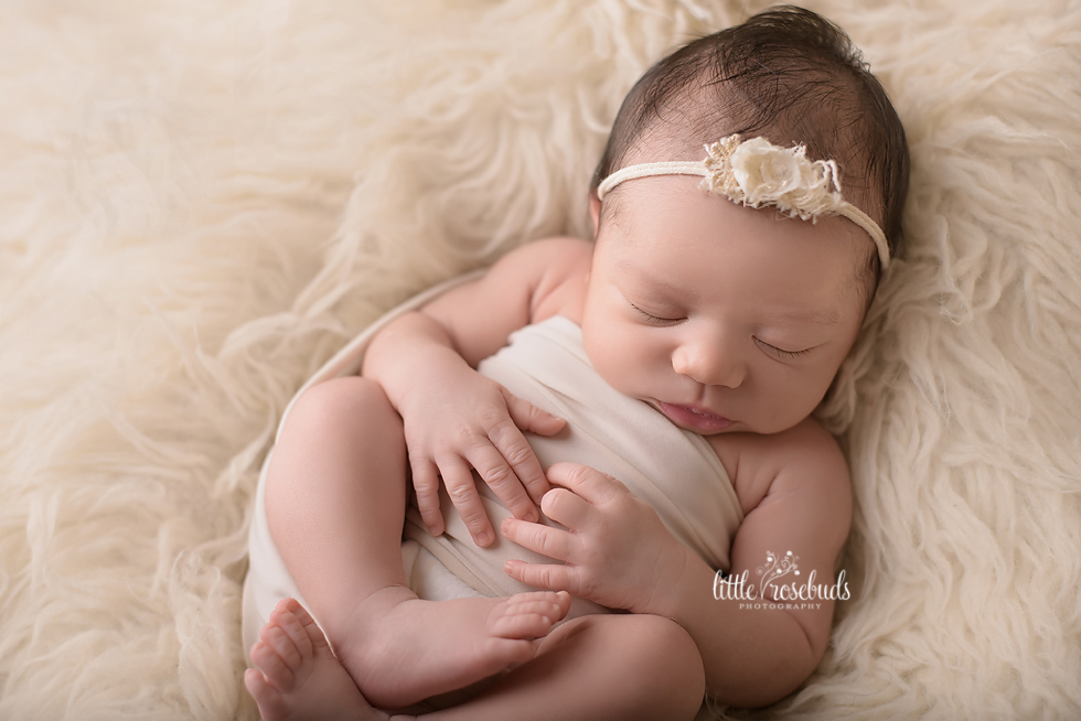 Newborn Girl Photoshoot Burlington