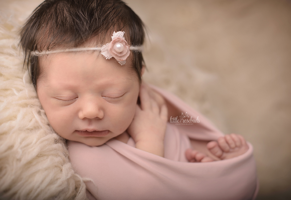 Oakville Newborn Photography