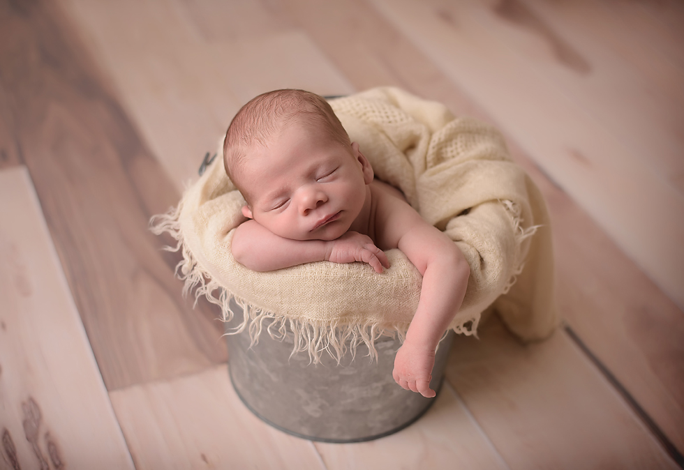 Newborn boy posing in a buckey