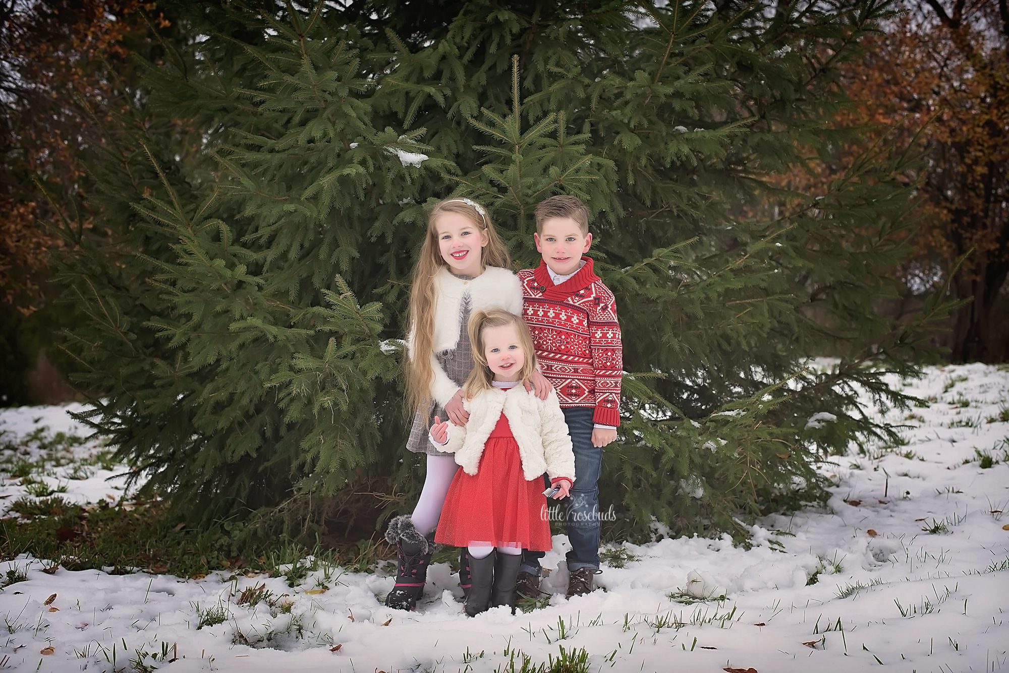 children outdoor winter family photos