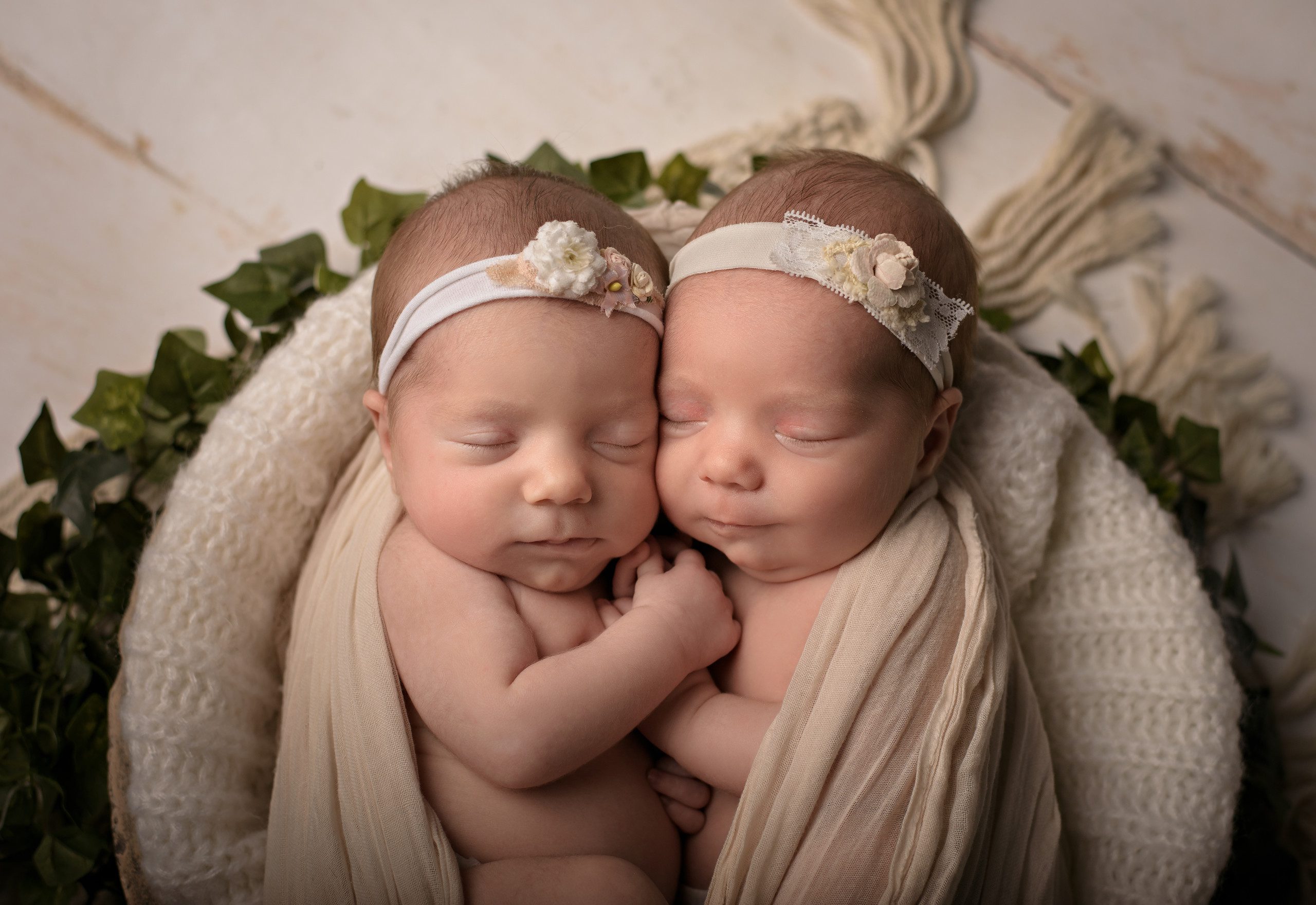 Newborn Twin Photographer